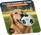 Dog chew toy listing creative